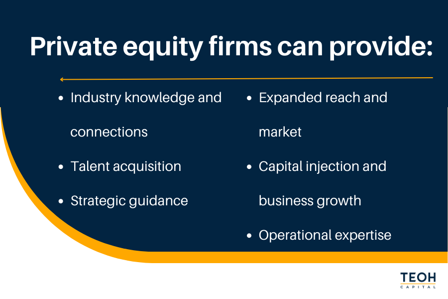 what can private equity firms help with?